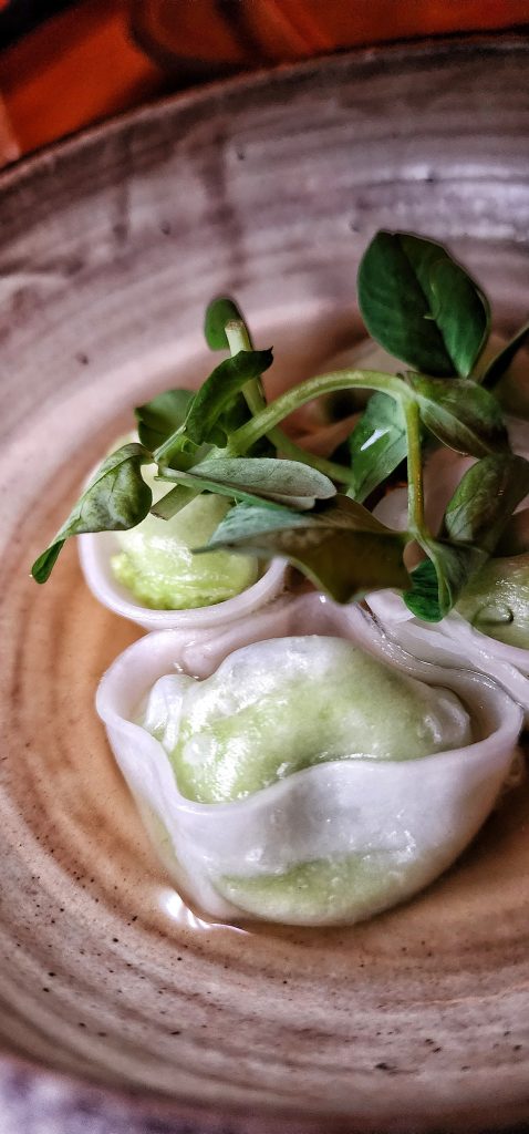 Double Knot NYC edamame dumpling upclose