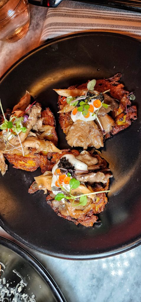 Folk Brooklyn MASALA LATKES top