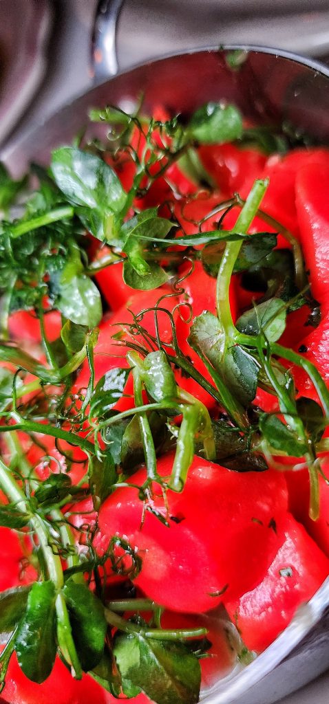 Golden Steer NYC Carrots