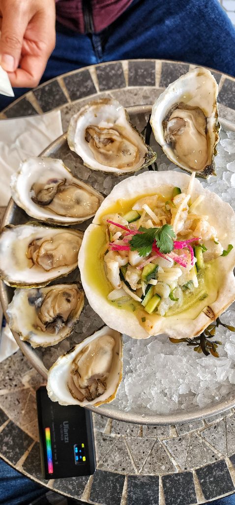 oysters half dozen