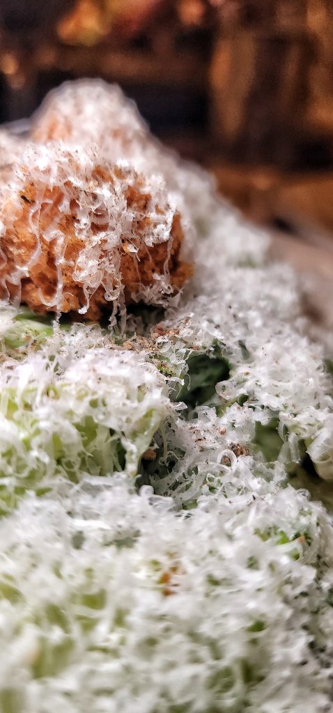 faux nyc Caesar salad